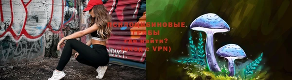 амф Белокуриха