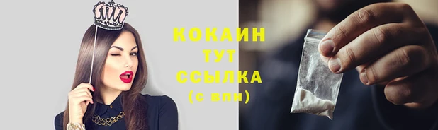 ПСИЛОЦИБИНОВЫЕ ГРИБЫ Беломорск