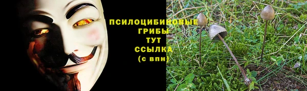 стаф Балахна