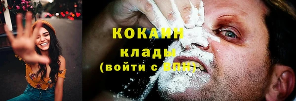 стаф Балахна